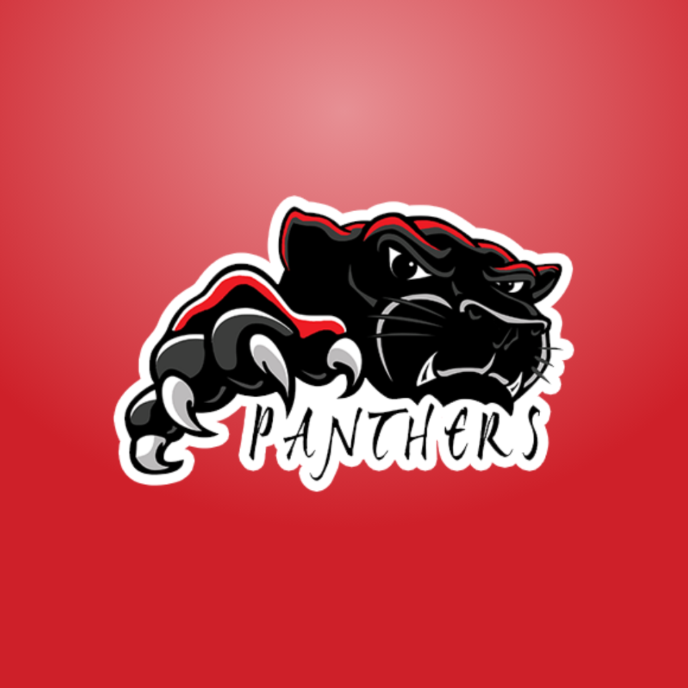 Panther Fallback Image