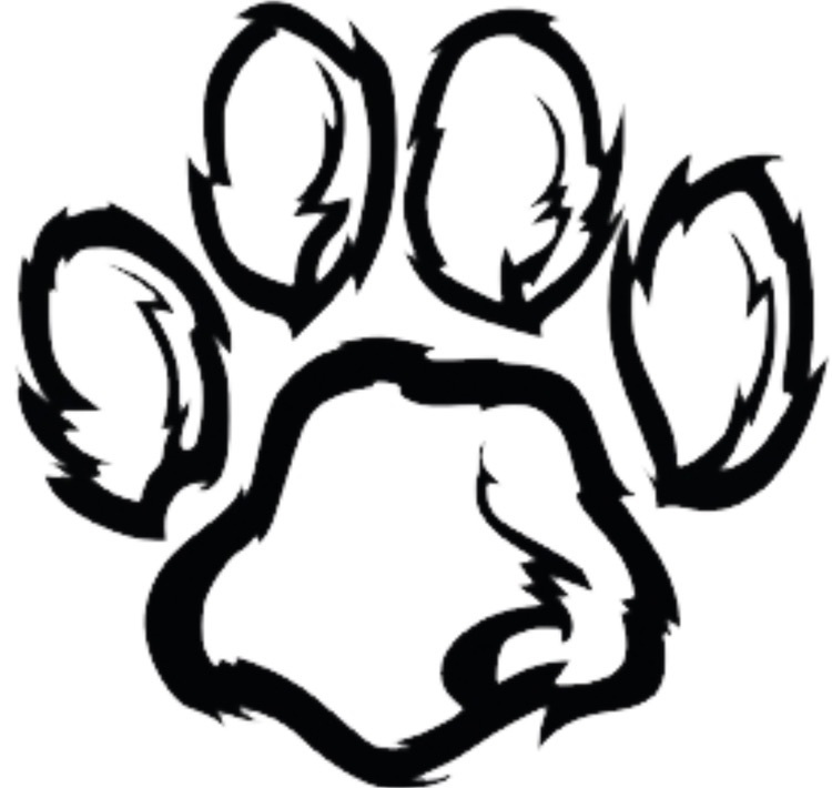 Panther paw