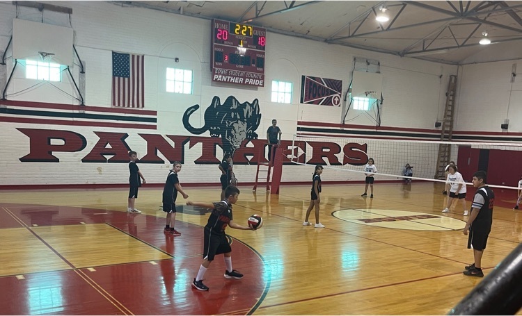 Panther volleyball